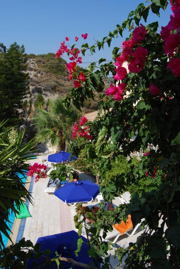 Artemis Studios Faliraki Esterno foto
